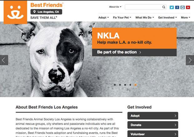 Situs Web Adopsi Hewan Peliharaan Anjing Teratas